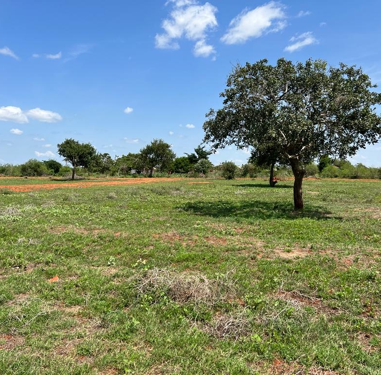 AZIZI GARDENS IN MALINDI