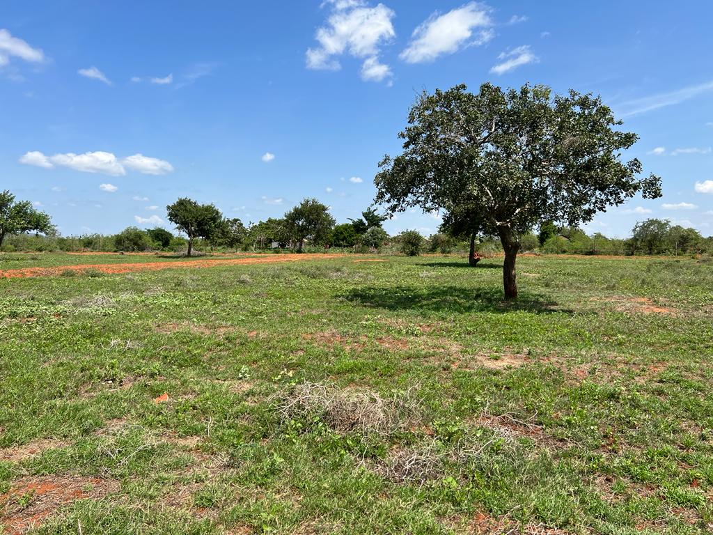 AZIZI GARDENS IN MALINDI